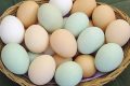 Как правильно варить яйцо
