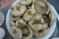 Как правильно мариновать белые грибы